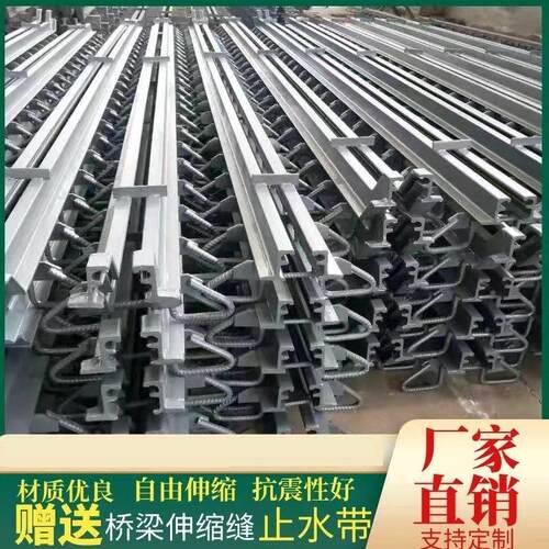 公路桥梁伸缩缝C40F60D80160240E型模数式装置RG异型钢桥面人行道