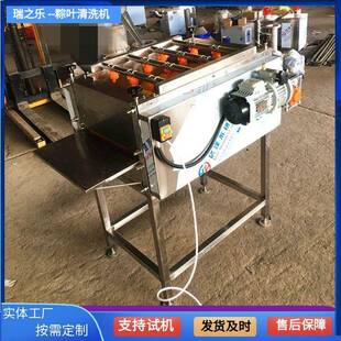 江西野生粽叶清洗机新鲜芦苇叶洗杂质设备全自动芭蕉叶清洗机器