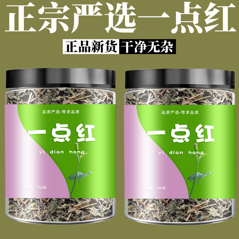 野生一点红中草药叶下红新鲜晒干羊蹄草广西红叶草红背叶药材无硫