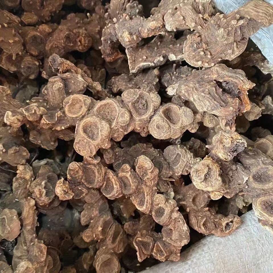 正品八角连中药材八角连旱八角金魁莲独角莲正宗半枝莲一碗水批发