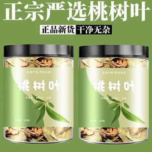 晒干桃树叶桃叶野生毛桃叶干货桃叶干货袋装桃子叶新鲜桃树叶柳叶