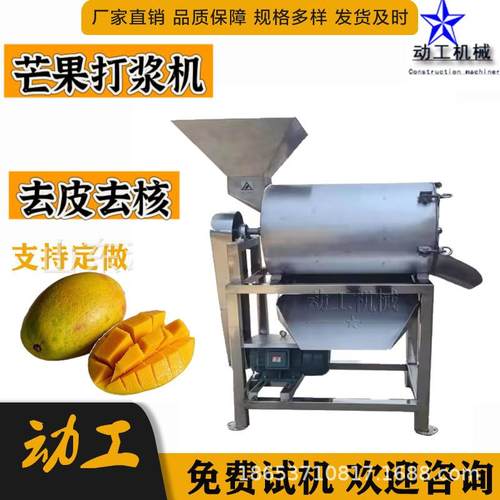商用西红柿打浆机工业橙子去皮去籽制浆机不锈钢西梅去核打浆机