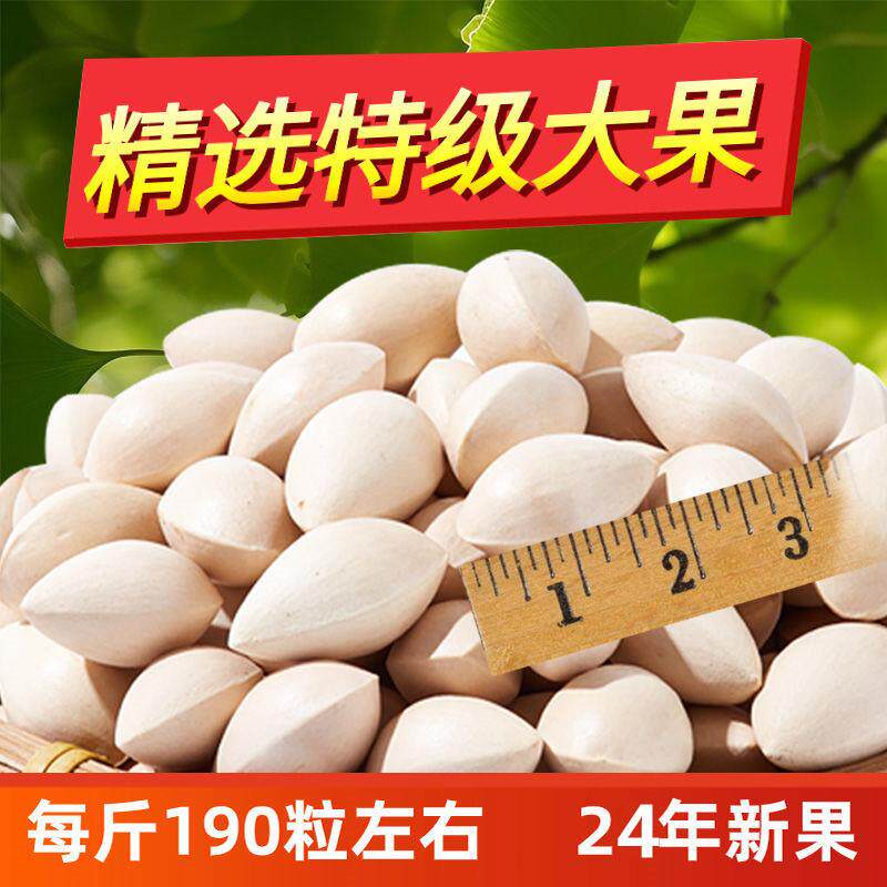 2025年新鲜大颗带壳白果银杏果无漂白泰兴特级包邮干货生百果