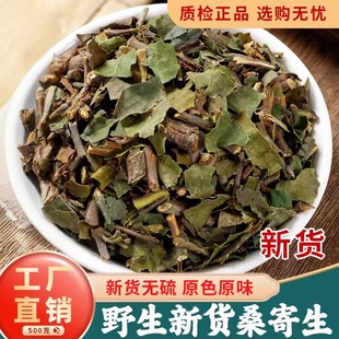 桑寄生中药材正品500g克官方旗舰店中药野生桑寄生的功效茶泡水喝