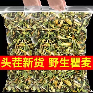 瞿麦野生正品新货中药材瞿麦茶翟麦巨麦十样景花曲麦搭瓜蒌泡水喝