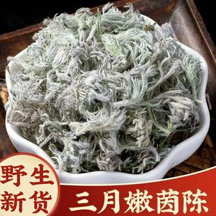 正品野生茵陈新货中药材500g正宗茵陈蒿茶白蒿因陈茵陈草棉茵陈粉
