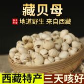 西藏野生贝母林芝高原特产野生藏贝母无硫熏 50g