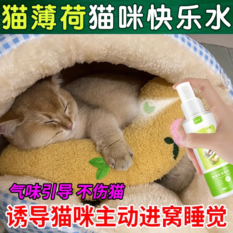 【猫咪快乐水】猫薄荷诱导喷雾剂图片