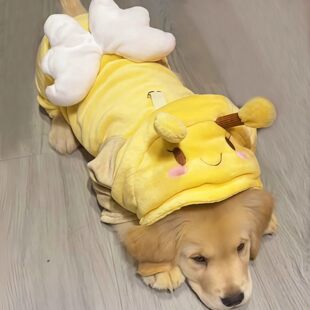 小金毛专用狗狗衣服幼犬四脚秋冬天冬季加绒边牧拉布拉多两三个月