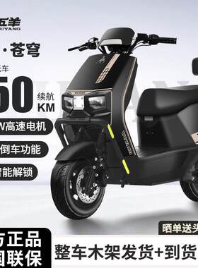 五羊苍穹35A石墨烯电动摩托车