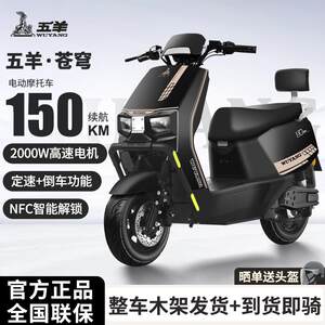 五羊苍穹电动摩托车高速72V长跑外卖长续航电瓶车成人代步电动车