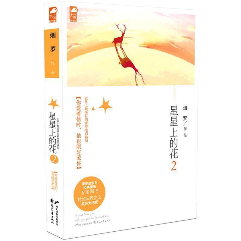 【正版书】 星星上的花2 烟罗 著 花山文艺出版社