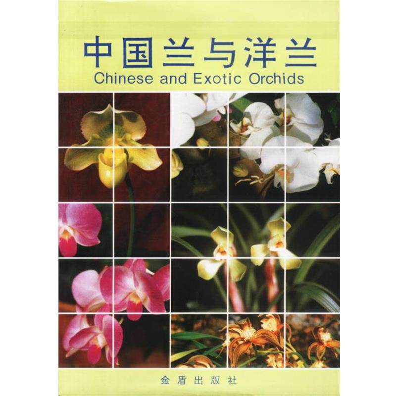 【正版书】 中国兰与洋兰 卢思聪 编著 总后金盾出版社