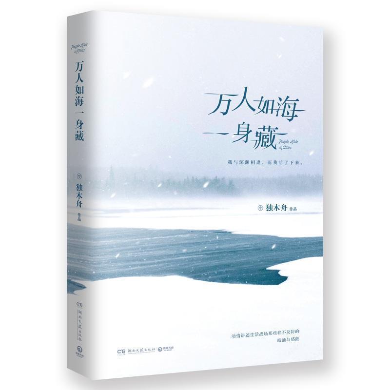 【正版书】 万人如海一身藏 独木舟 著 湖南文艺出版社
