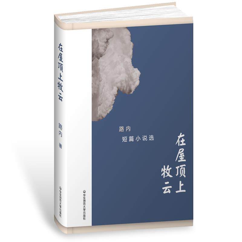 【正版书】 在屋顶上牧云 路内短篇小说选 路内 华东师范大学出版社