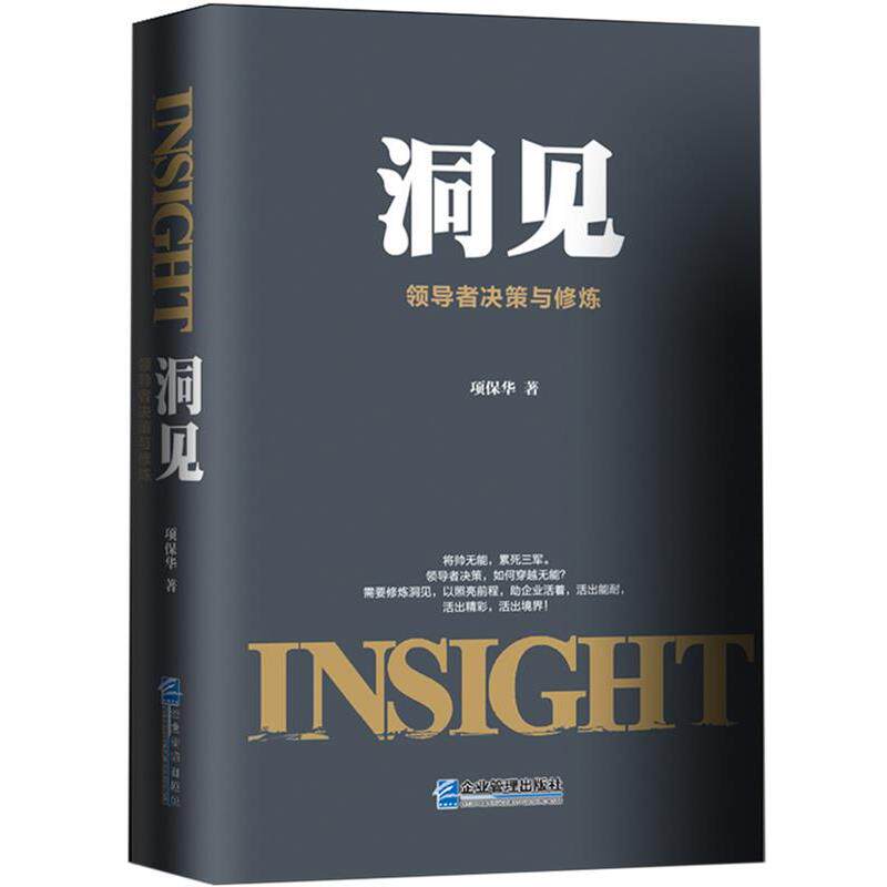 【正版书】 洞见:决策与修炼 项保华 企业管理出版社