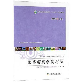 【正版书】 家畜解剖学实习图 杨银凤 编 中国农业出版社
