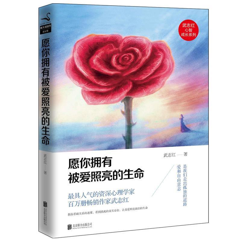【正版书】 愿你拥有被爱照亮的生命 武志红 著 北京联合出版公司