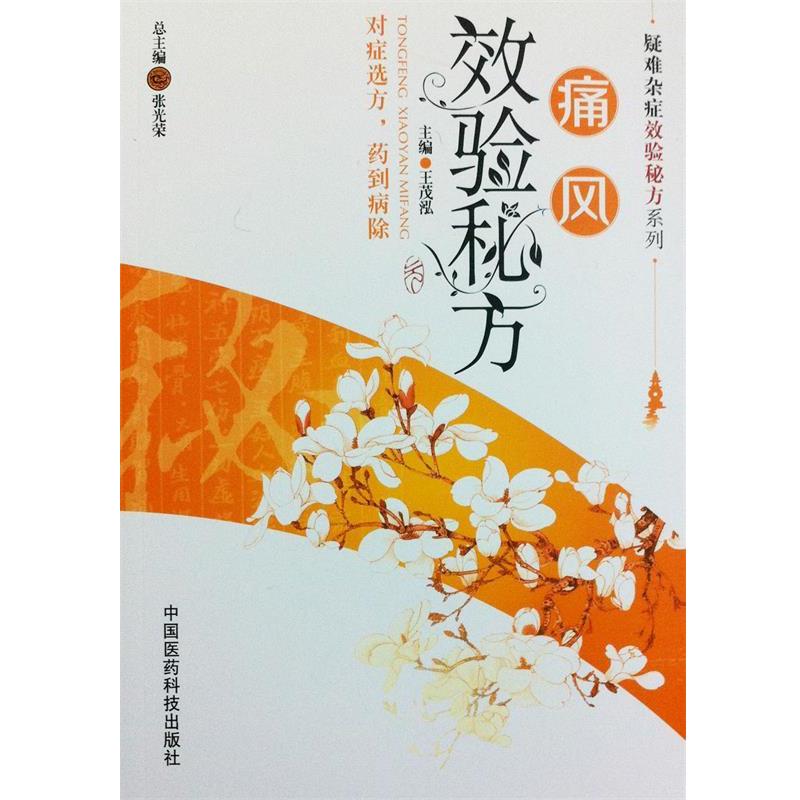 【正版书】 疑难杂症效验秘方系列:痛风效验秘方 王茂泓 编 中国医药科技出版社