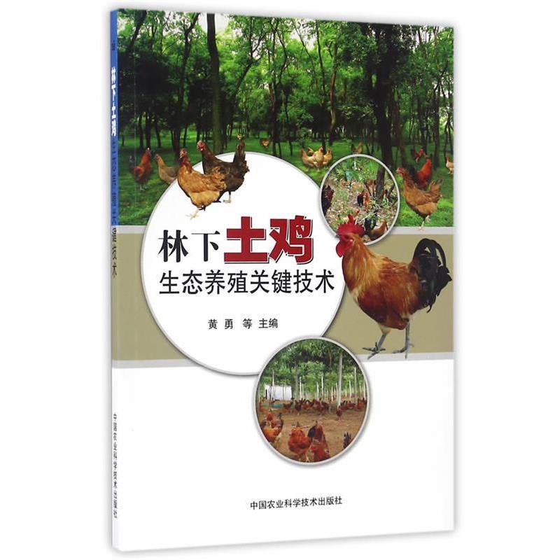【正版书】 林下土鸡生态养殖关键技术 黄勇 等主编 中国农业科学技术出版社
