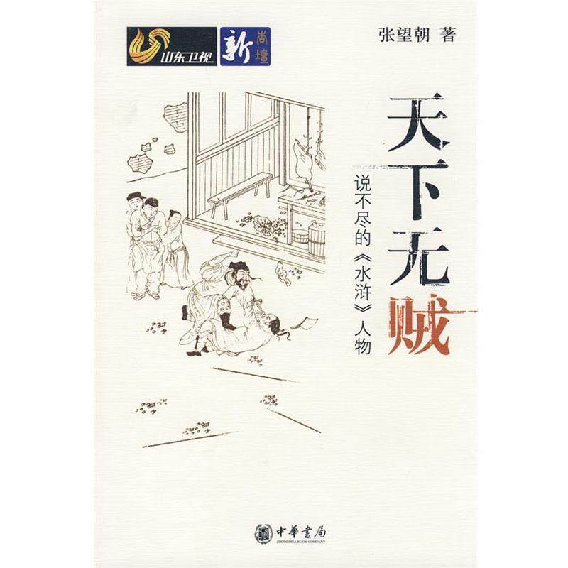 【正版书】 天下无贼说不尽的《水浒》人物 张望朝 著 中华书局