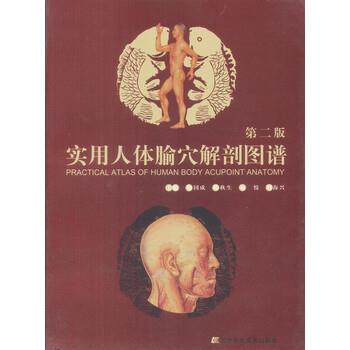【正版书】 实用人体腧穴解剖图谱 徐国成,韩秋生,刘悦 辽宁科学技术出版社