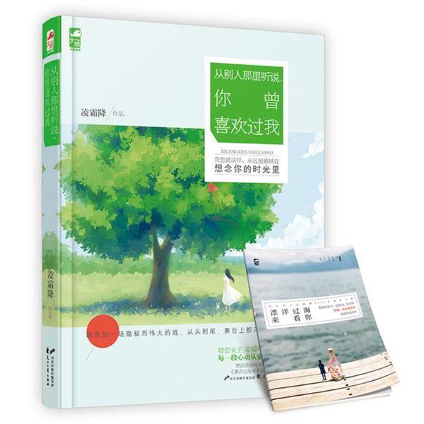 【正版书】 从别人那里听说,你曾喜欢过我 凌霜降 花山文艺出版社