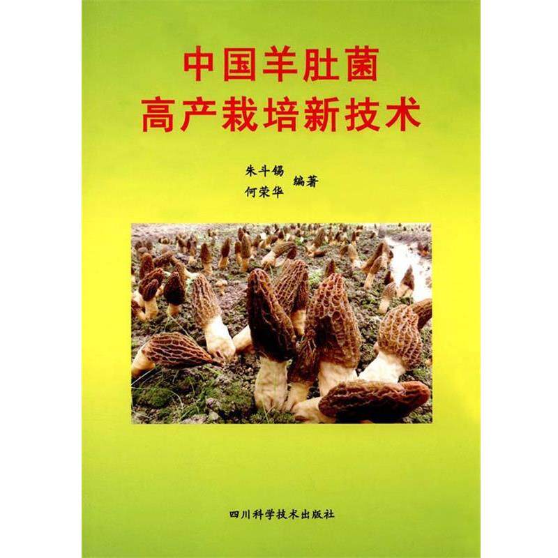 【正版书】 中国羊肚菌高产栽培新技术 朱斗锡,何荣华 四川科学技术出版社