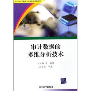 【正版书】 审计数据的多维分析技术 刘汝焯 著 清华大学出版社