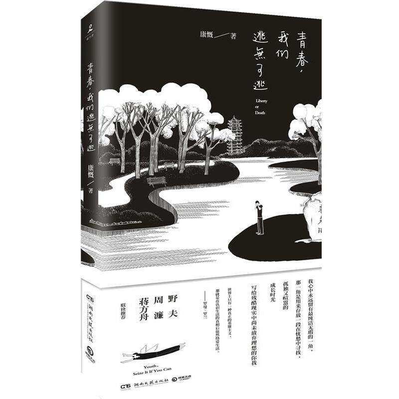 【正版书】 青春，我们逃无可逃 康慨 湖南文艺出版社