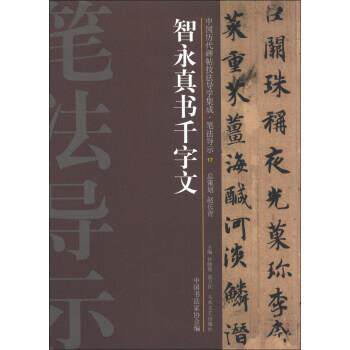 【正版书】 中国历代碑帖技法导学集成·笔法导示:智永真书千字文 许晓俊,袁卫民,中国书法家协会 编 大众文艺出版社
