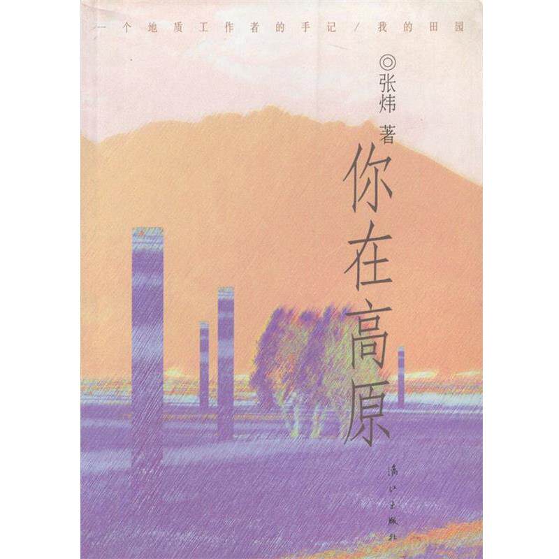 【正版书】 你在高原 张炜 漓江出版社