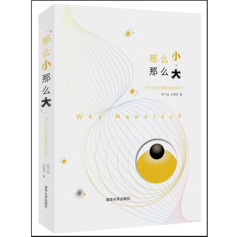 【正版书】 那么小,那么大:为什么我们需要纳米技术? 郭子政,云国宏 清华大学出版社