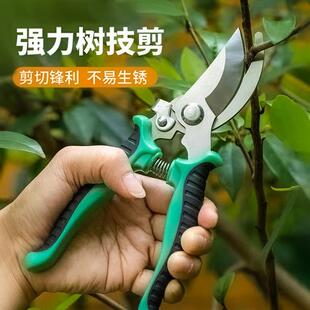 花剪枝园艺剪刀修枝剪省力修剪树枝果树竹签园林花卉专用花艺剪子