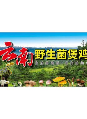 野生菌鸡煲广告海报贴纸云南美食招牌装饰画烧烤餐厅饭店宣传墙贴