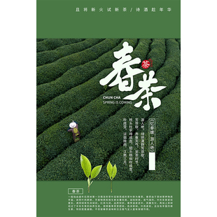 新茶上市海报宣传广告牌春茶茶叶店绿茶茶道墙贴茶馆文化装饰画贴