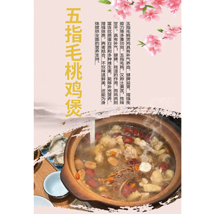 五指毛桃鸡煲广告海报墙贴画养生药膳火锅挂图炭炉鸡煲装饰画贴纸
