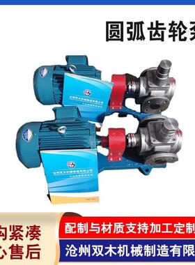 YCB系列圆弧齿轮泵不锈钢圆弧齿轮油泵食品卫生级输送泵