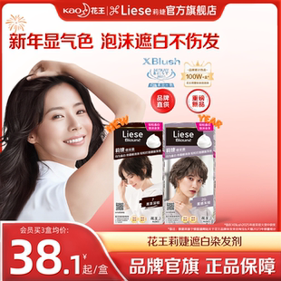 【花王遮白染】莉婕Liese泡沫染发剂染发膏遮白发泡泡染黑茶黑色