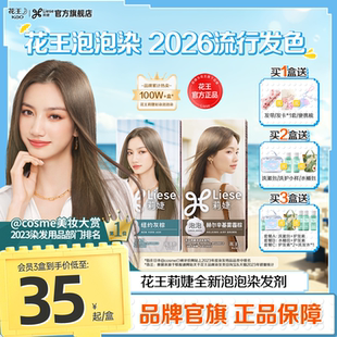 花王莉婕Liese泡沫染发剂在家染泡泡染发膏赫尔辛基雾霾棕纽约灰