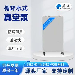 防腐蚀五抽头抽滤泵实验室减压 SHZ 95B A循环水式 多用真空泵立式