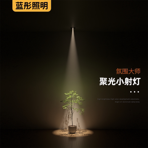一束聚光射灯嵌入式光束角8度家用客厅入户玄关餐厅led防眩天花灯