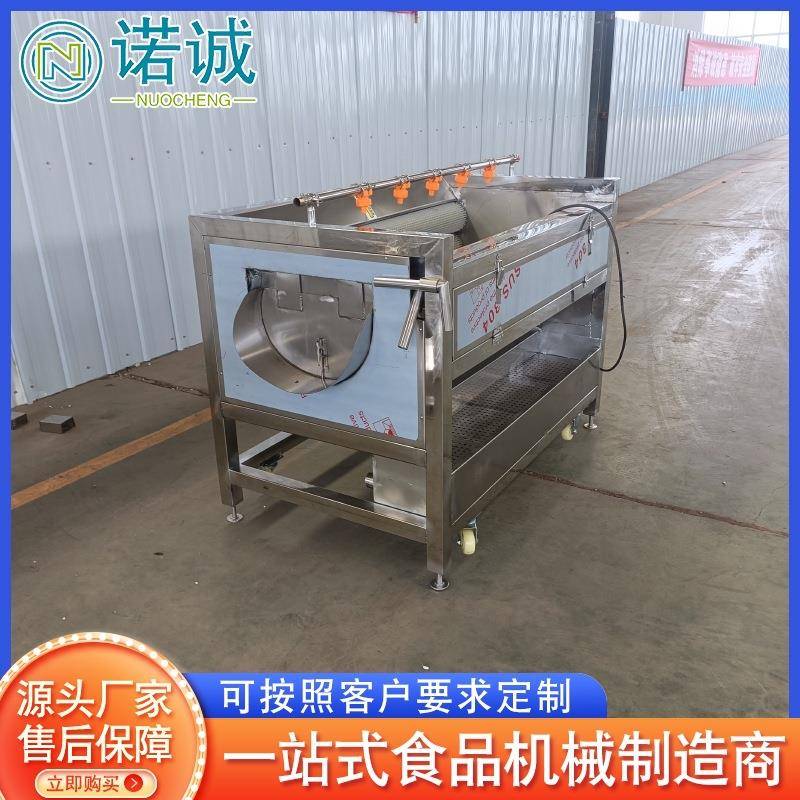 白萝卜紫薯毛辊清洗机全自动毛刷去皮清洗设备芋头去皮加工设备