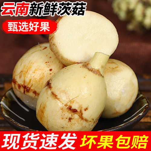 云南新鲜白茨菇马蹄荸荠当季时令