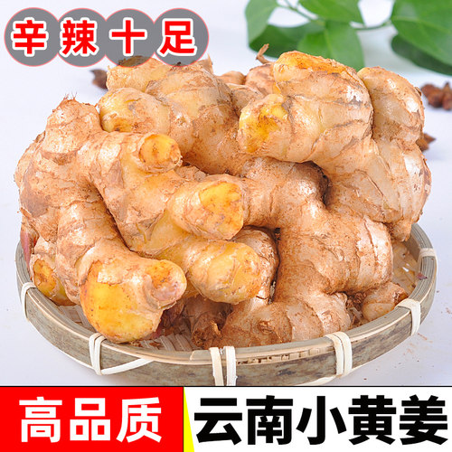 官方推荐2025年新云南小黄姜老姜