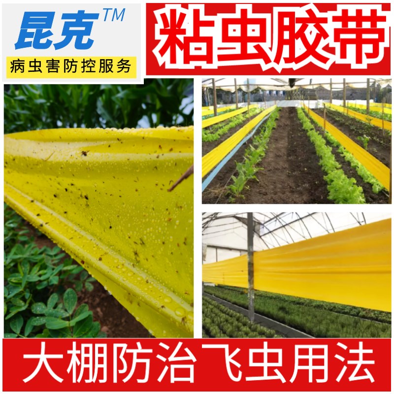 双面防雨粘虫胶带果园大棚防虫诱虫带农用灭飞虫拦截爬虫黄蓝胶布