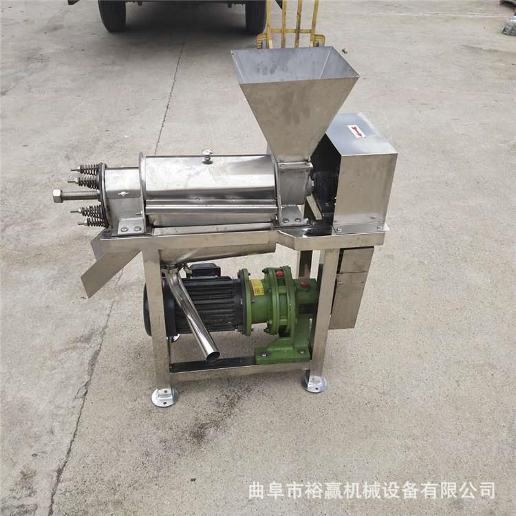 商用螺旋桃子梨榨汁机橙子工业压榨机大型果蔬破碎挤汁机