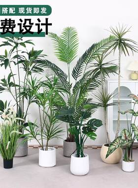 北欧仿真绿植假植物家用带盆造景装饰散尾葵百合竹马醉木仿真植物