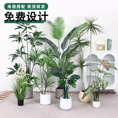 北欧仿真绿植假植物家用带盆造景装饰散尾葵百合竹马醉木仿真植物