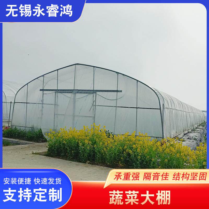 蔬菜大棚瓜果蔬菜种植棚葡萄种植大棚现货智能外遮阳温室蔬菜大棚